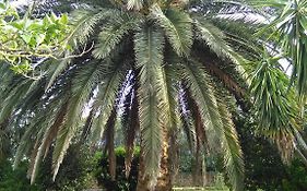 La Palma